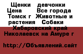 Щенки - девчонки › Цена ­ 2 - Все города, Томск г. Животные и растения » Собаки   . Хабаровский край,Николаевск-на-Амуре г.